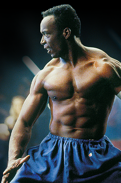 American Karate Tiger