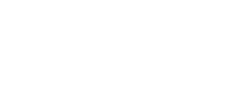 Rettet die Weihnachtsgans