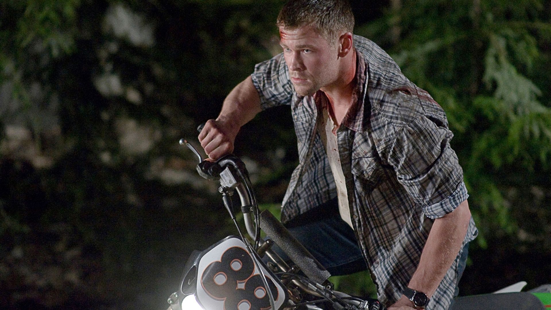 The Cabin in the Woods