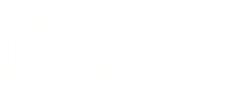 The Player