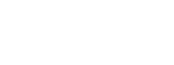 Born To Race: Fast Track