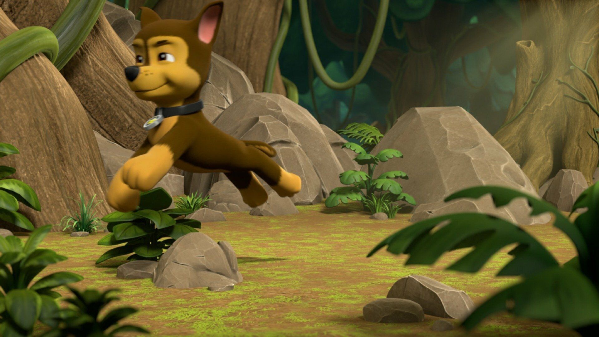 Die Welpen und die Dschungel-Pinguine / Die Welpen retten einen Frachter