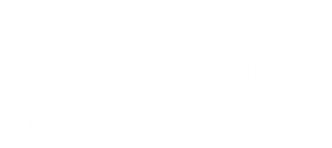 Die Macht der Kränkung