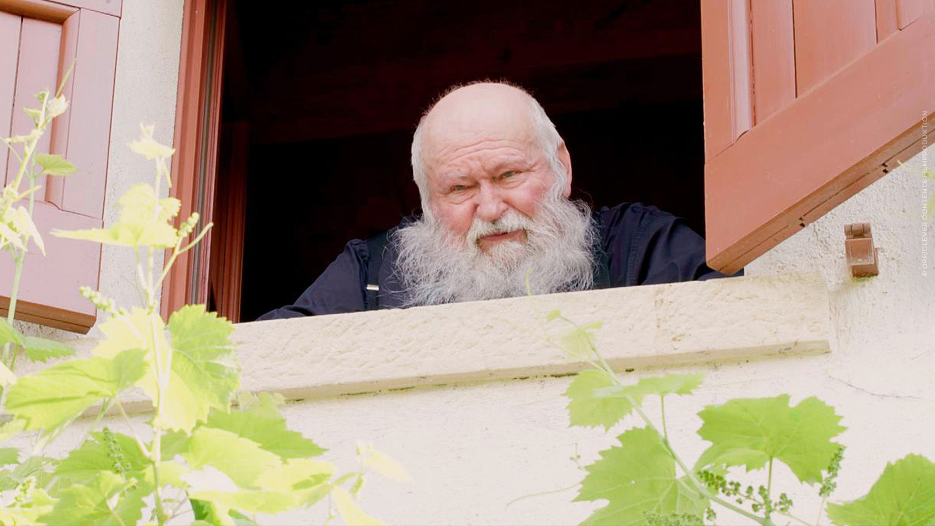 Das Universum des Hermann Nitsch