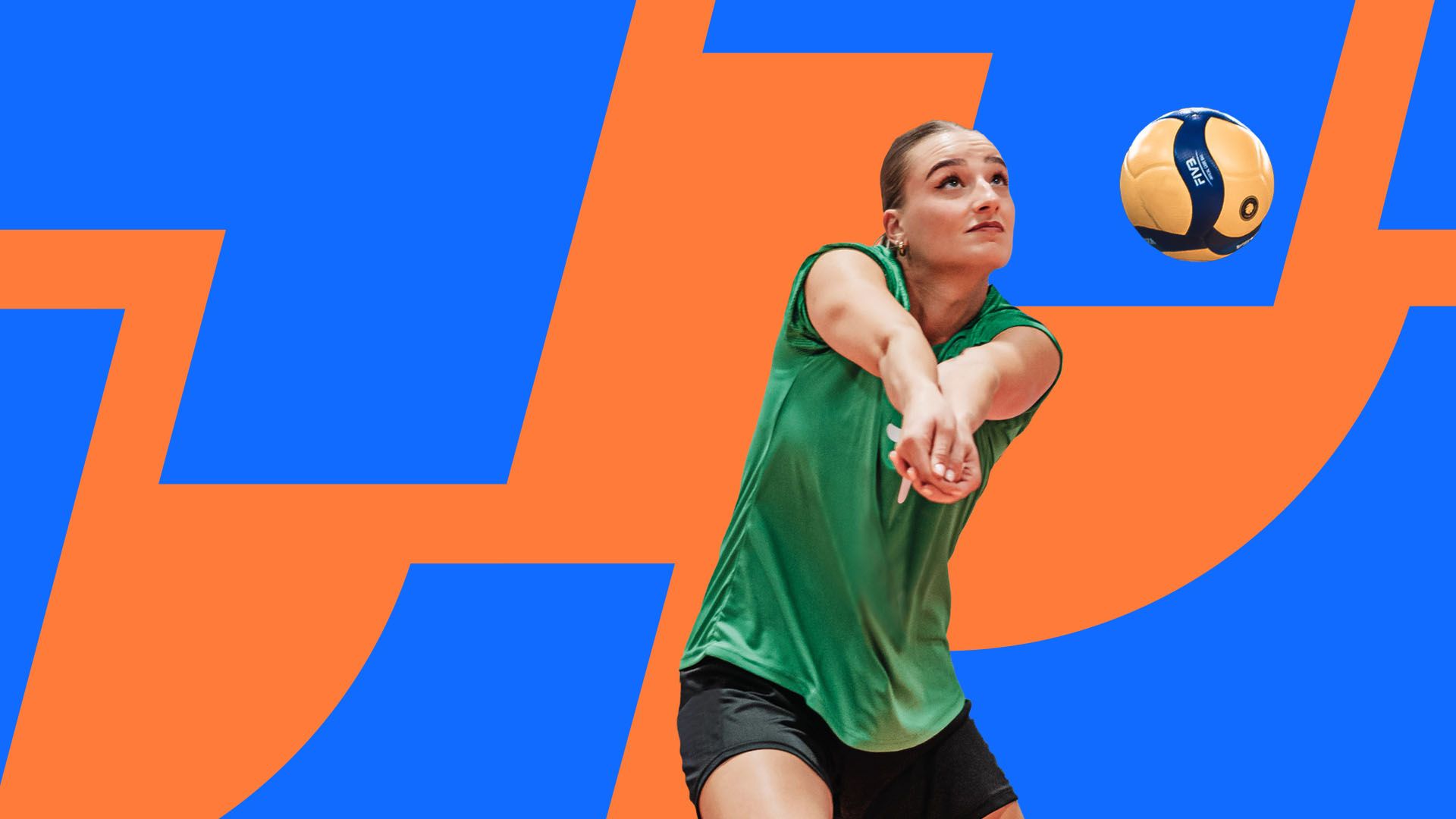 Volleyball Bundesliga