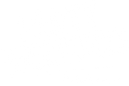 Party Workers