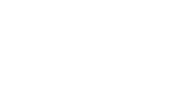 Slavik - Auf Staats Nacken