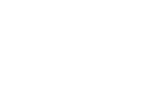 Slavik - Auf Staats Nacken