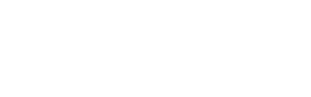 Louise Fleck - Filmpionierin