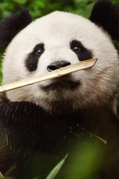 China - Ein uraltes Königreich der Natur