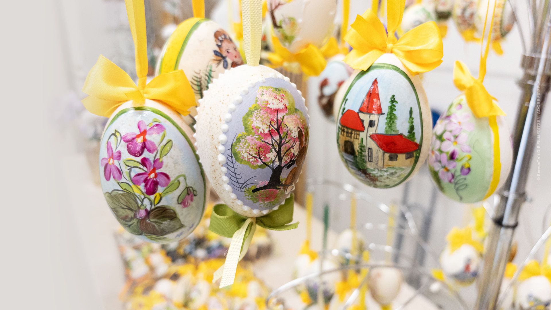 Blickwechsel Spezial