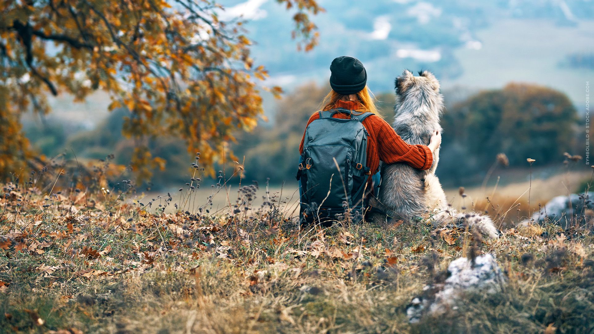 Hund und Mensch - Das Geheimnis einer Freundschaft