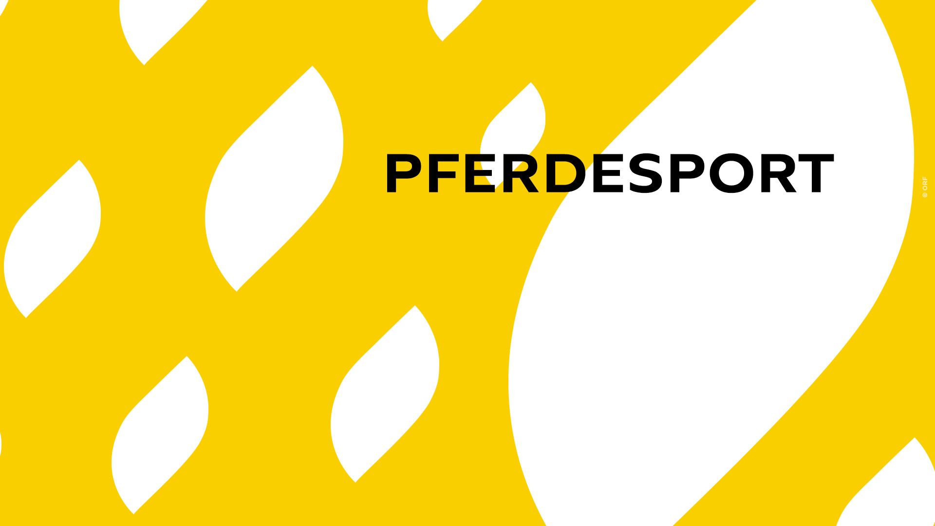 Pferdesport: Springreiten Grand Prix