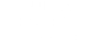 Fußball: Champions League