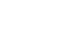 Danger Force