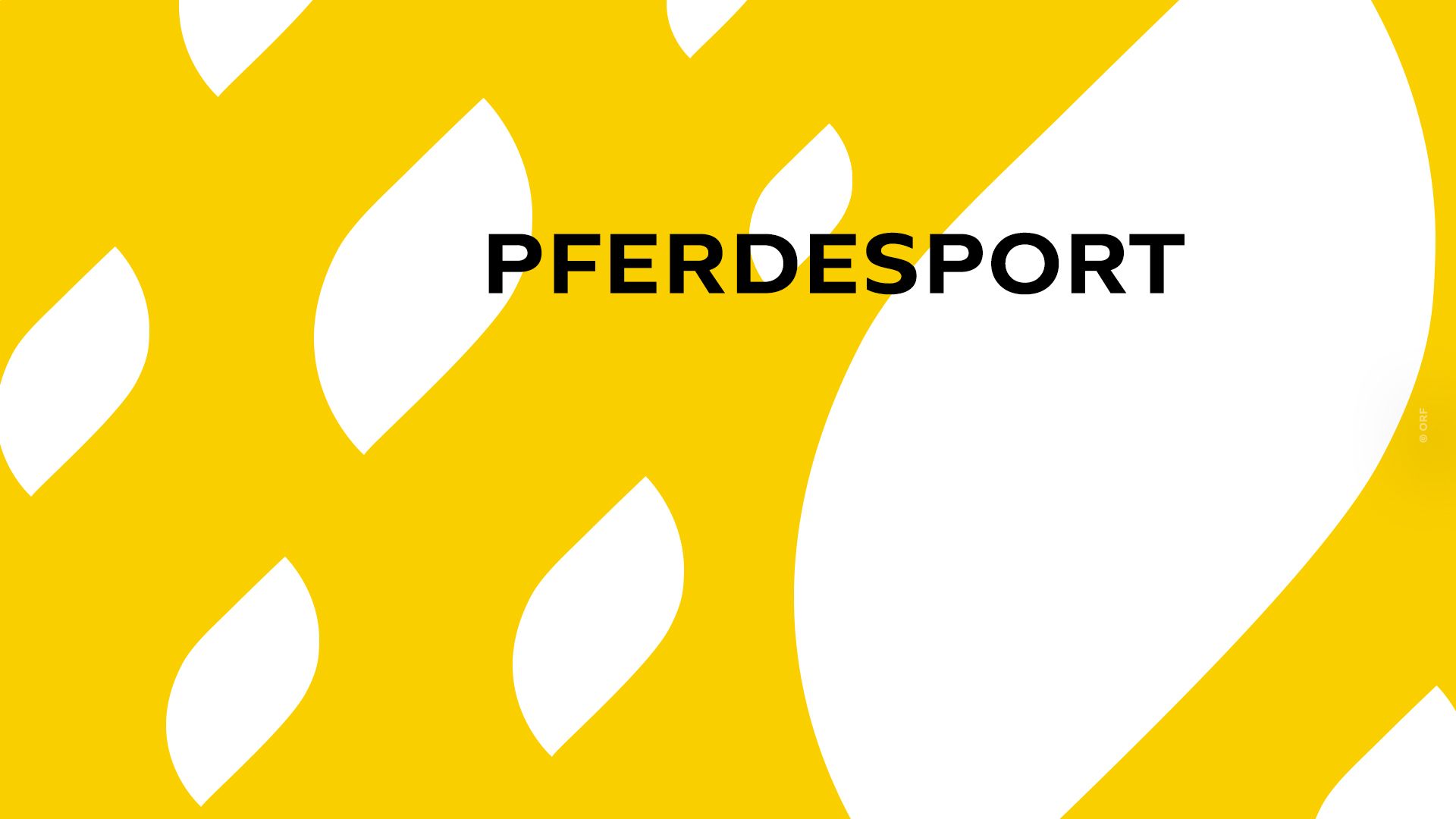 Pressekonferenz: Pferdesport OEPS Springtour