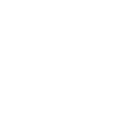 Die Ollie & Moon Show