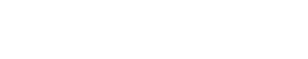 Schau-Fenster: Geier
