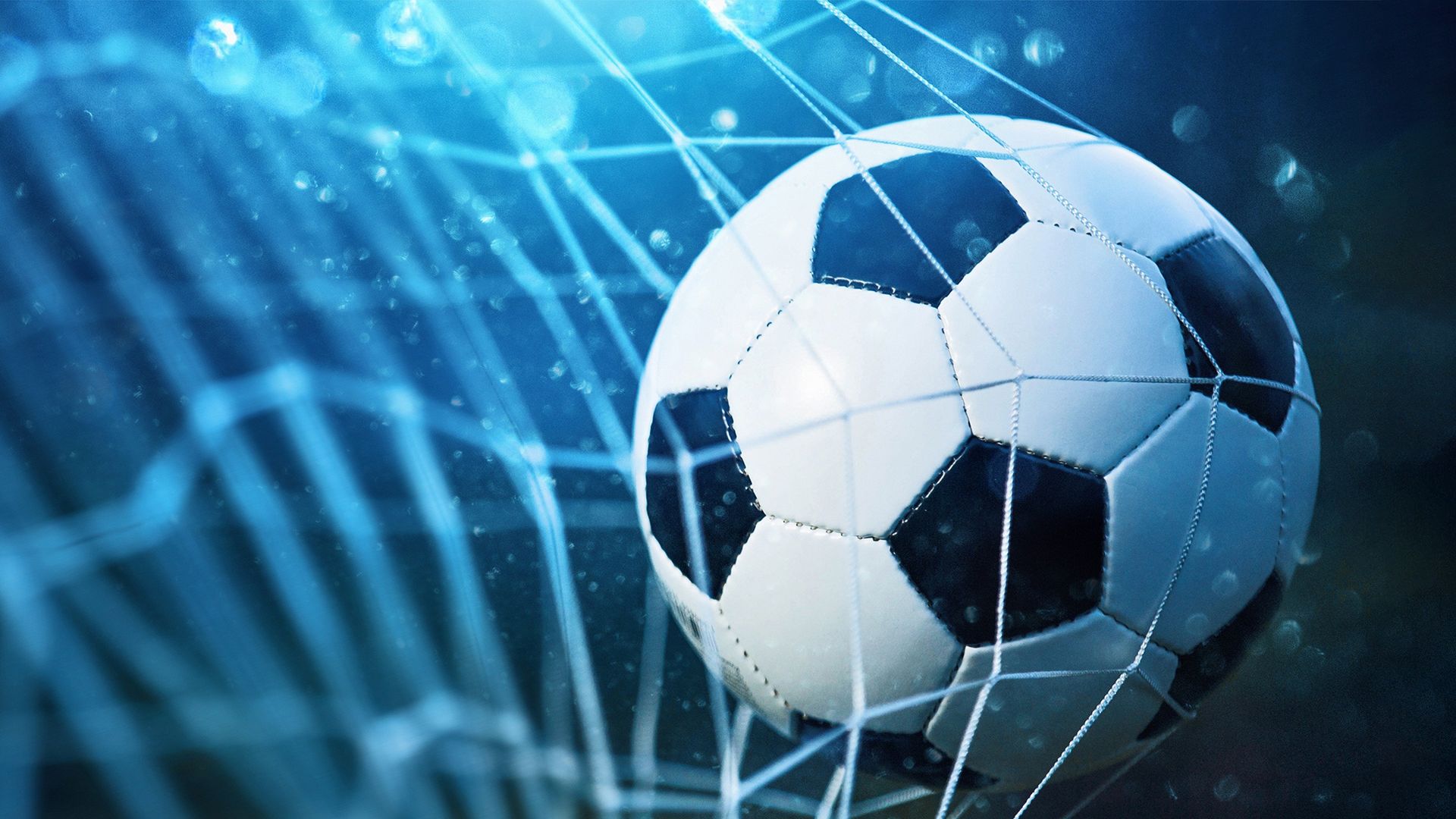 Herrlich verrückte Bundesliga
