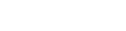 Schicksalstage Österreichs