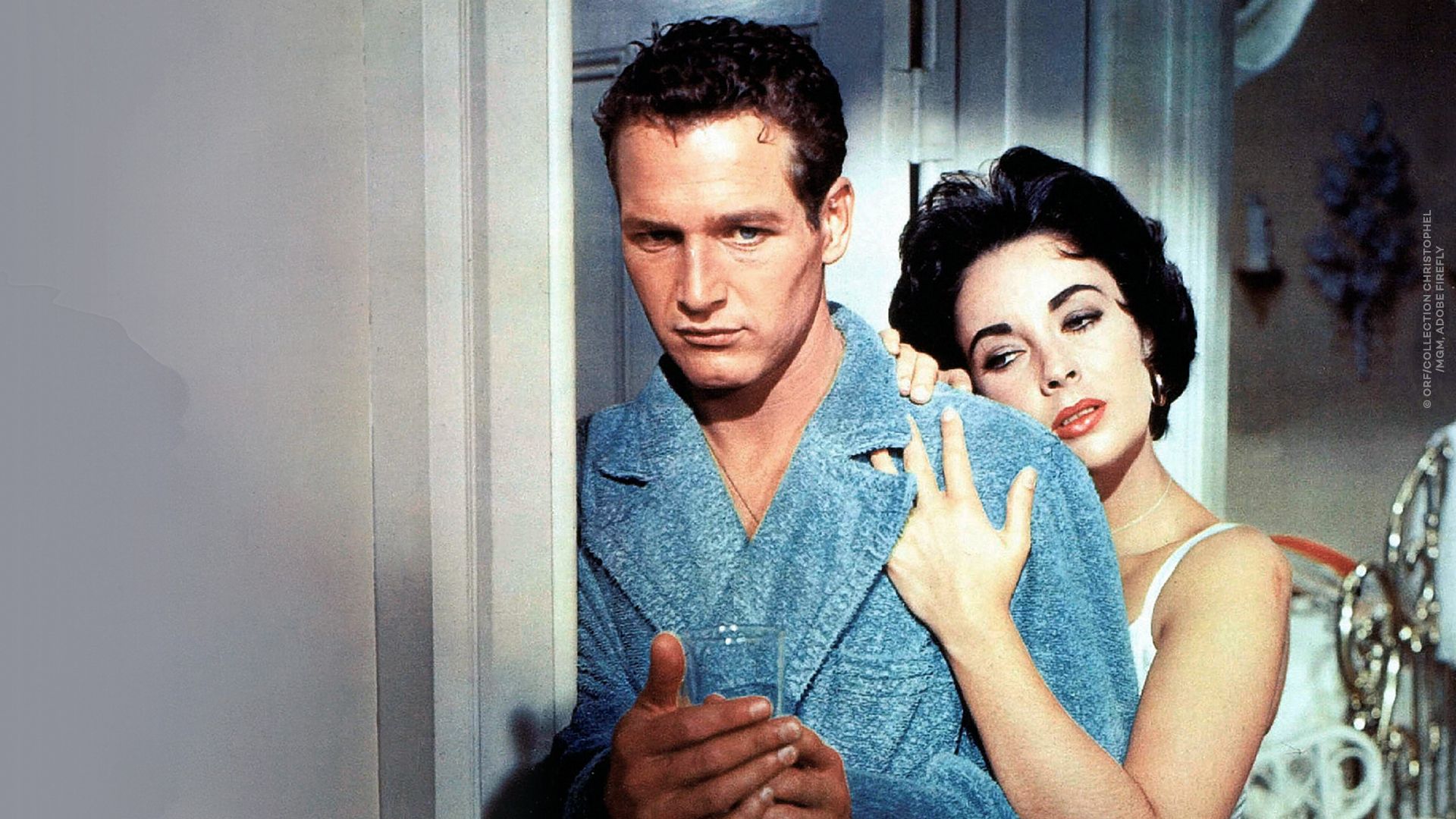 Paul Newman - Der unwiderstehliche Typ