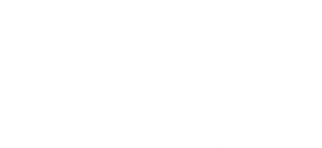 Alles andere zählt net mehr - Wolfgang Ambros, eine Austrolegende