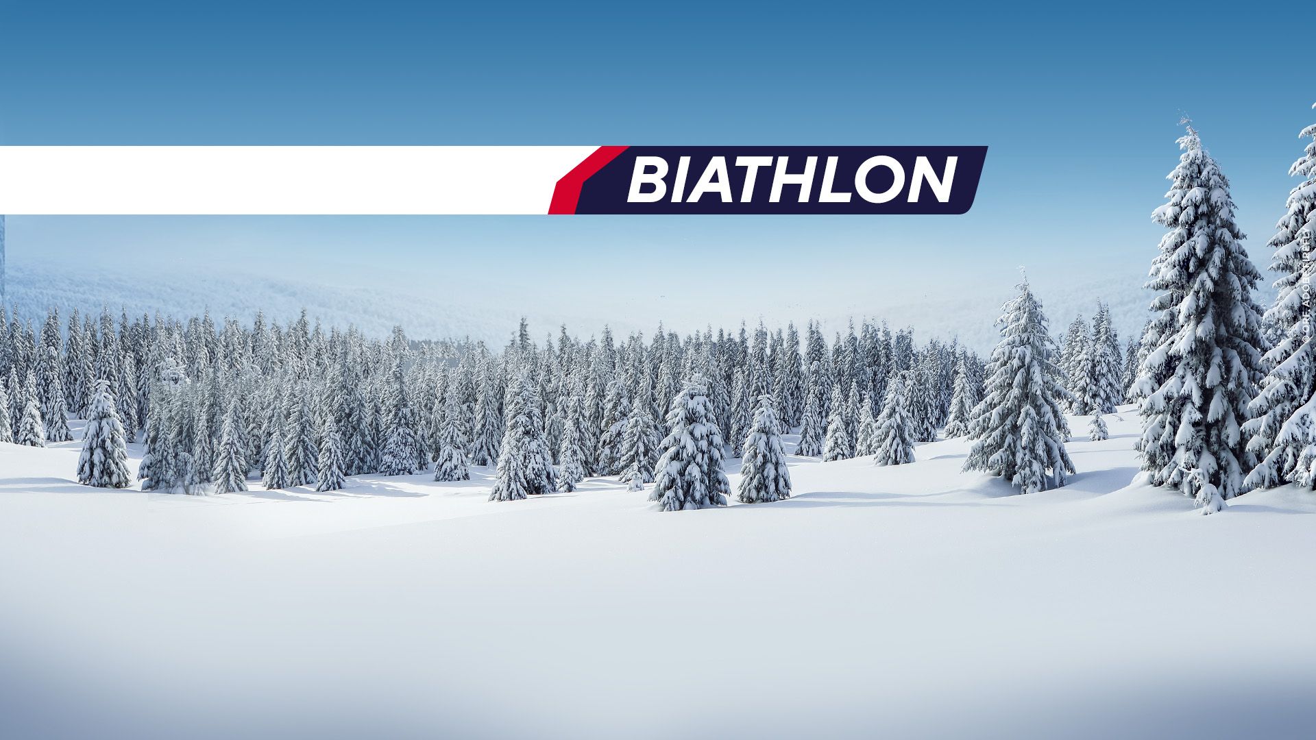 Biathlon-Weltcup der Herren