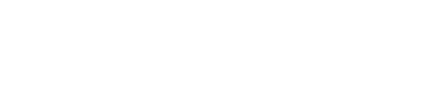 Bruce Springsteen, der amerikanische Freund