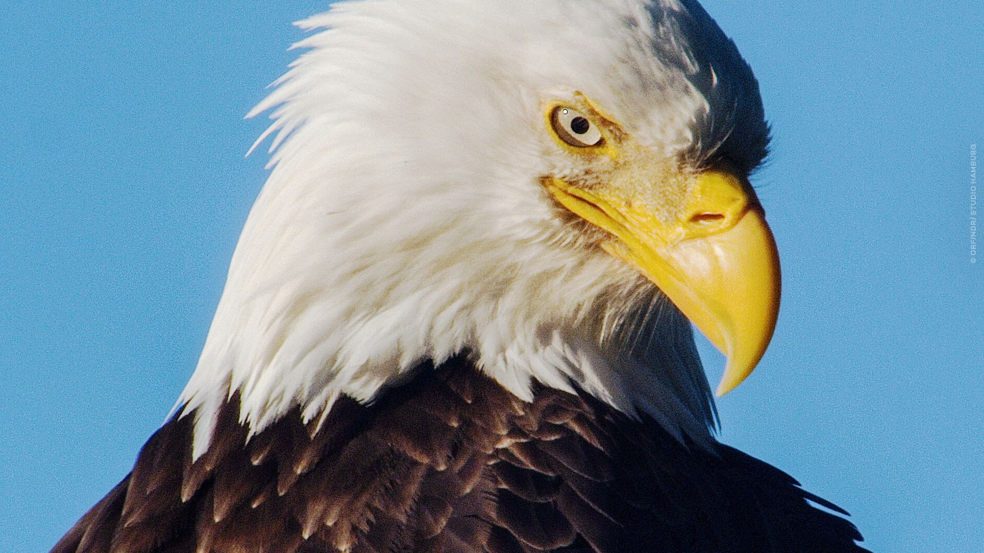 Amerikas Naturwunder