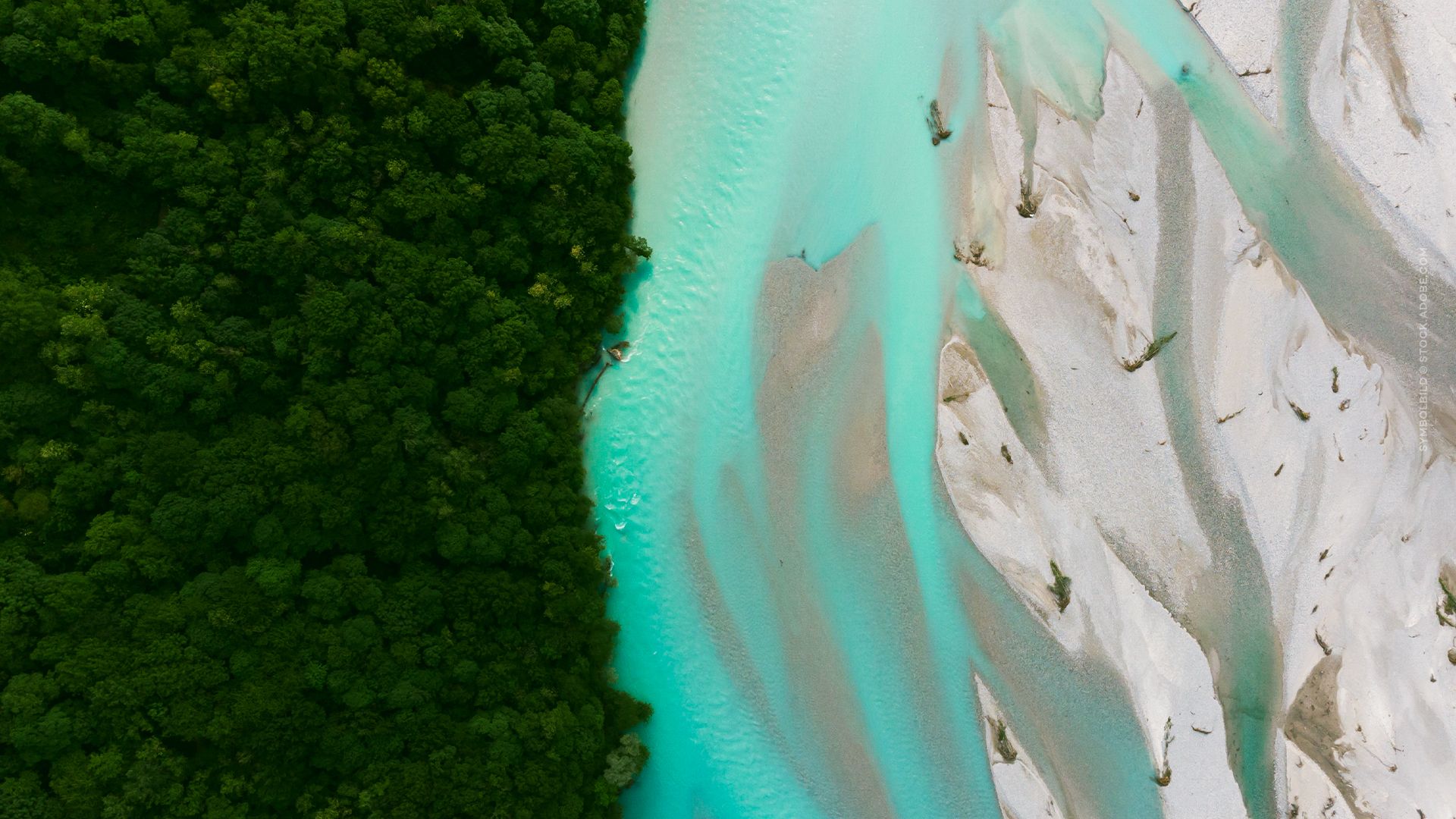 Faszination Fluss - Der Tagliamento