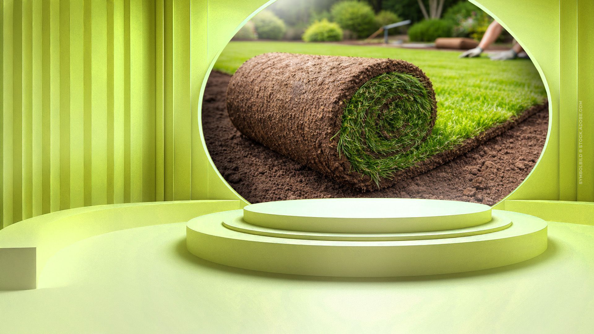 Schau-Fenster: Rollrasen