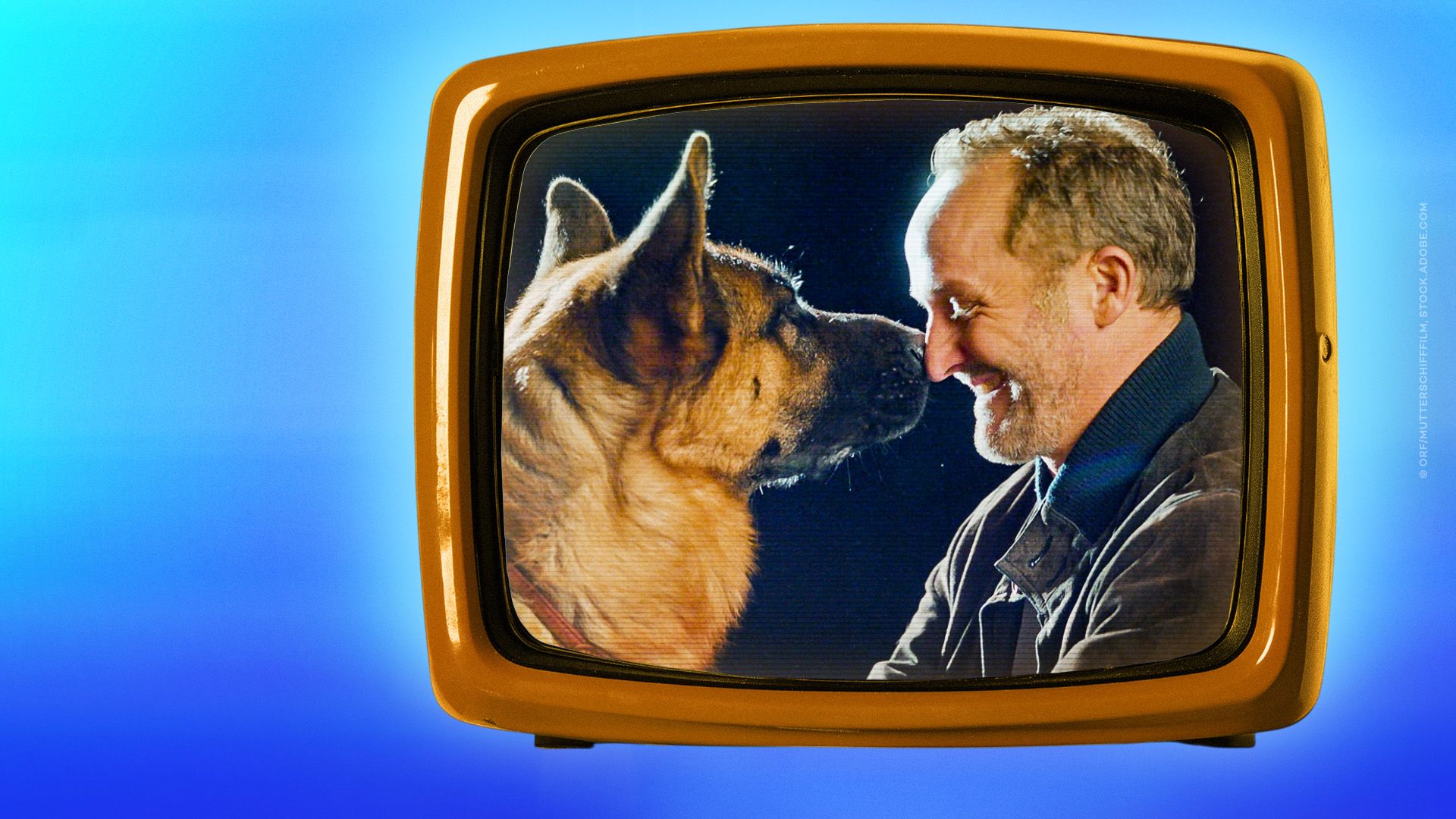 Fernsehgeschichte(n) Kommissar Rex