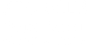 Otto Kallir - Wegbereiter der Wiener Moderne