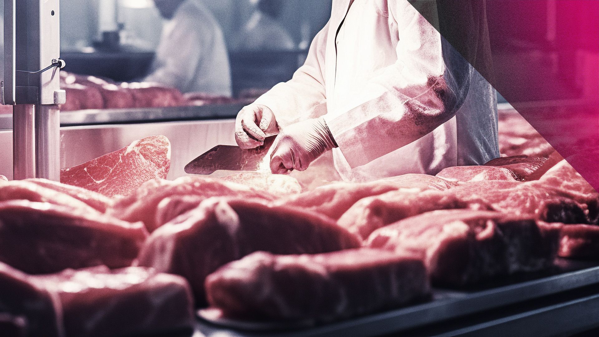 PULS 4 Doku: MEI SCHNITZEL IS NED DEPPERT - Hat Fleisch noch eine Zukunft?