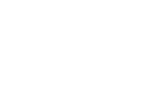 Promis, Punkte, Parties