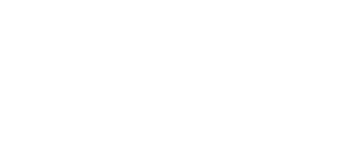 Pferdesport: Dressur Grand Prix Spezial