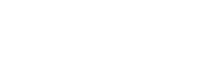 Notre-Dame Reborn