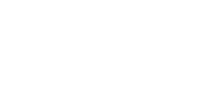Vienna Killing