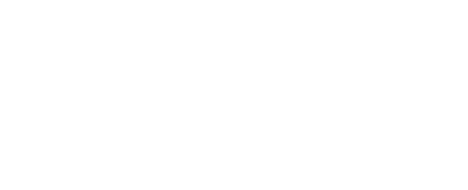 Polizei im Einsatz - Tatort Straße