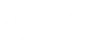 Taylors Welt der Tiere