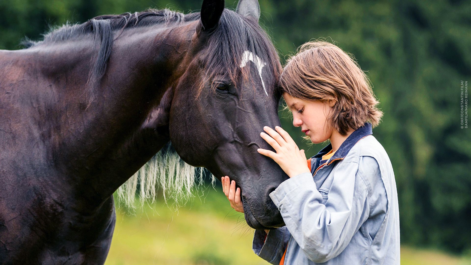 Ostwind 4 - Aris Ankunft