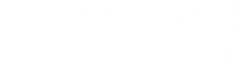 Hunyadi - Aufstieg zur Macht