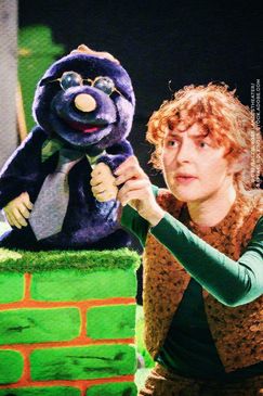 Vom kleinen Maulwurf, der wissen wollte, wer ihm auf den Kopf gemacht hat