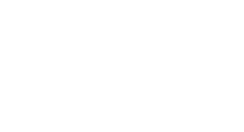 Der Pragmaticus