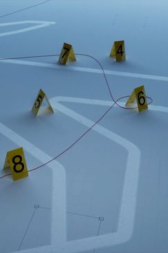 Österreichs schockierendste Verbrechen