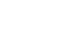 Das Traumschiff