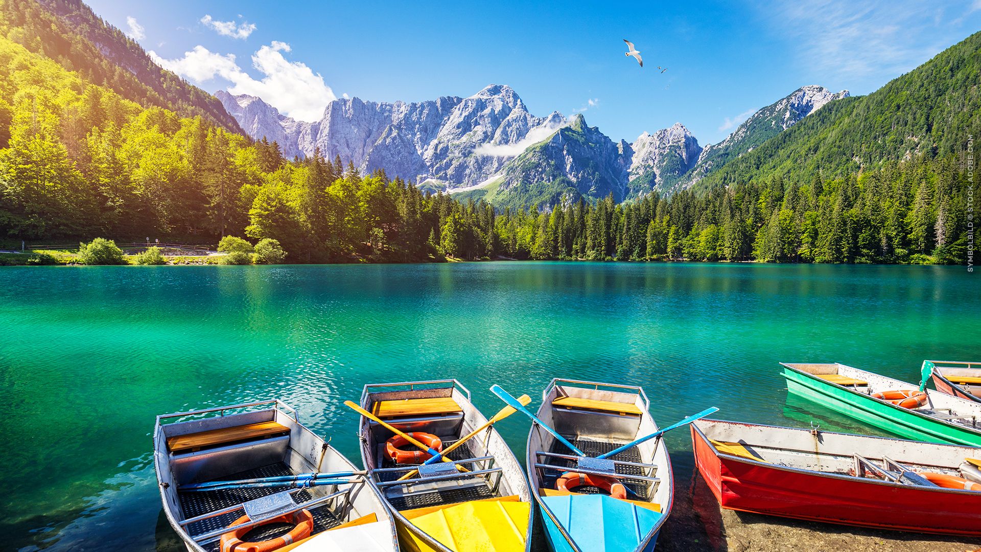 Das Kanaltal - Leben in Vielfalt