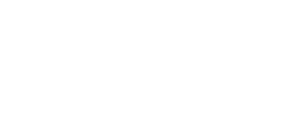 Wahl 25 - Entscheidung in Wien