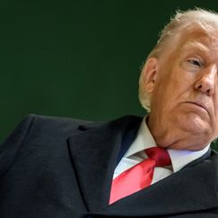 Cupal (ORF) zu Trumps Grönland-Plänen