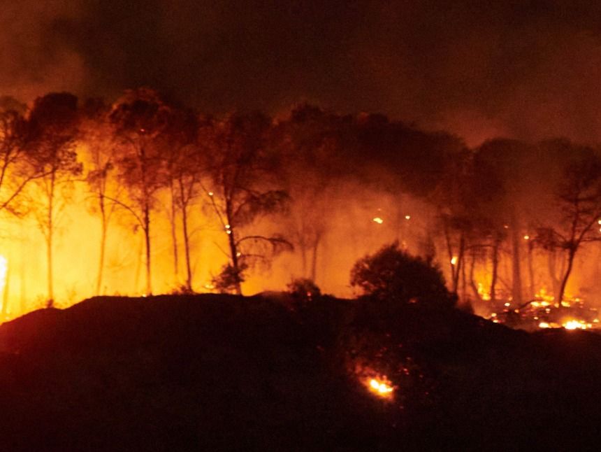 Waldbrände in Spanien: Brandstiftung?